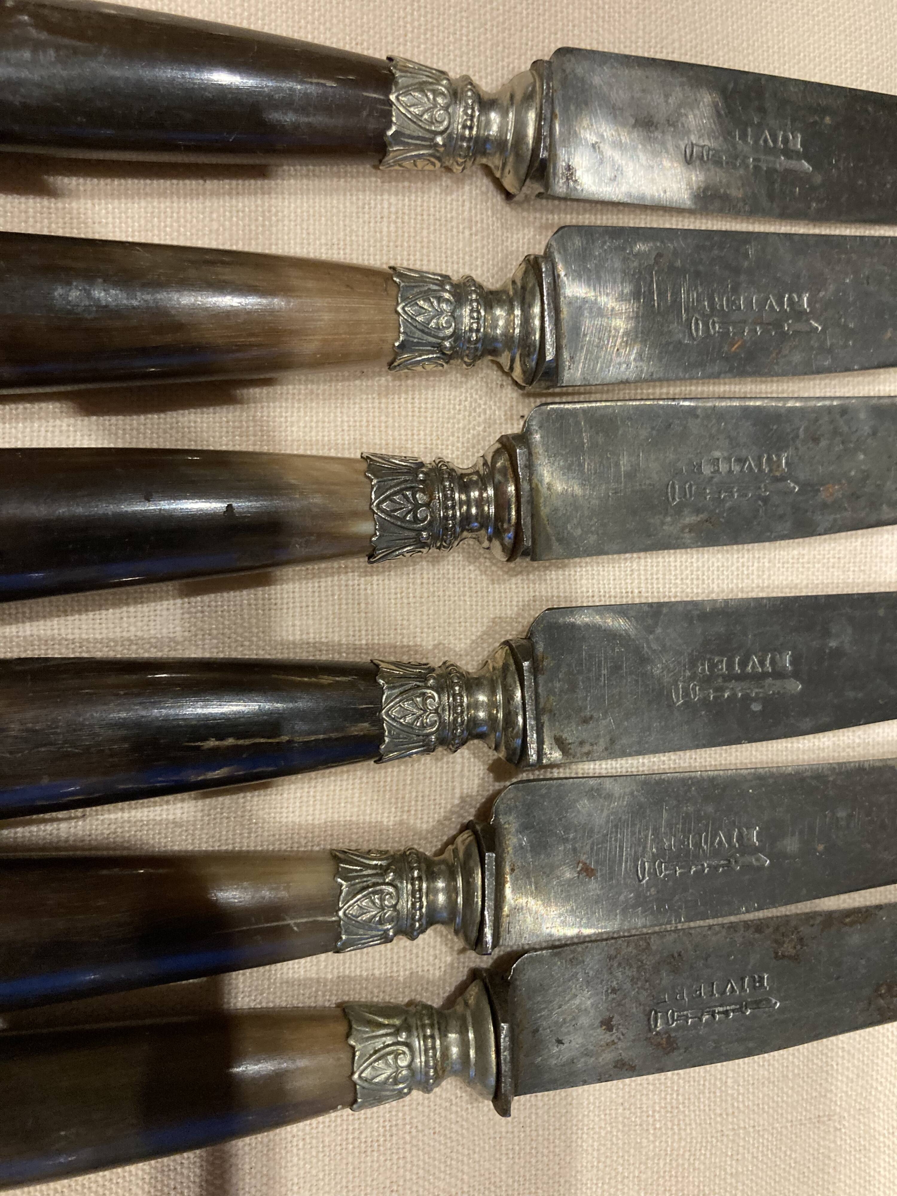 6 dessert knives + serving cutlery with horn handle