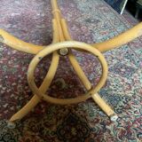 ZPM parrot coat door