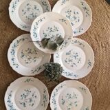 Flat plates myosotis veronica with small blue flowers