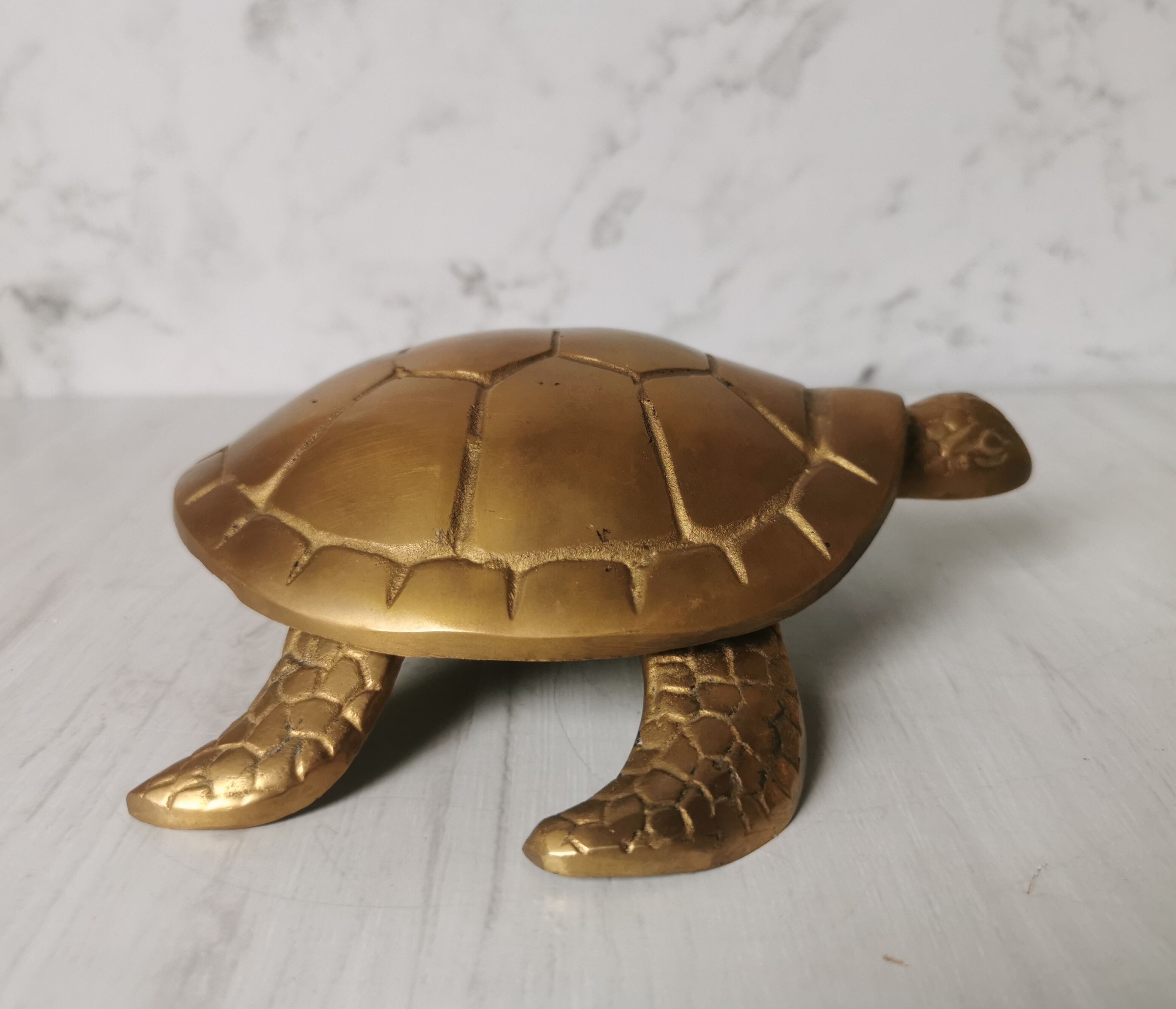 Brass turtle jewelry box