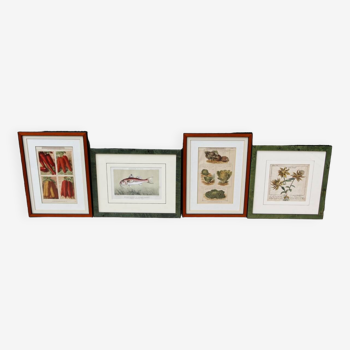 Set of 4 framed prints