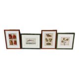 Set of 4 framed prints