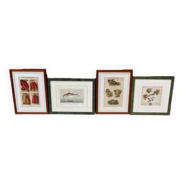 Set of 4 framed prints