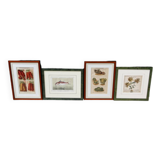 Set of 4 framed prints