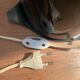 Table lamp Guzzini design