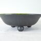 Fruit cup in black ceramic matte