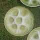 Seafood earthenware plates