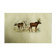 Zoological plank, original "renne - Elan " Buffon 1840