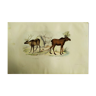 Planche zoologique, originale "renne & elan " buffon 1840