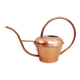 Copper watering can 1960
