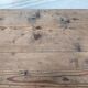 Farmhouse coffee table