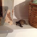 Brass turtle ashtray