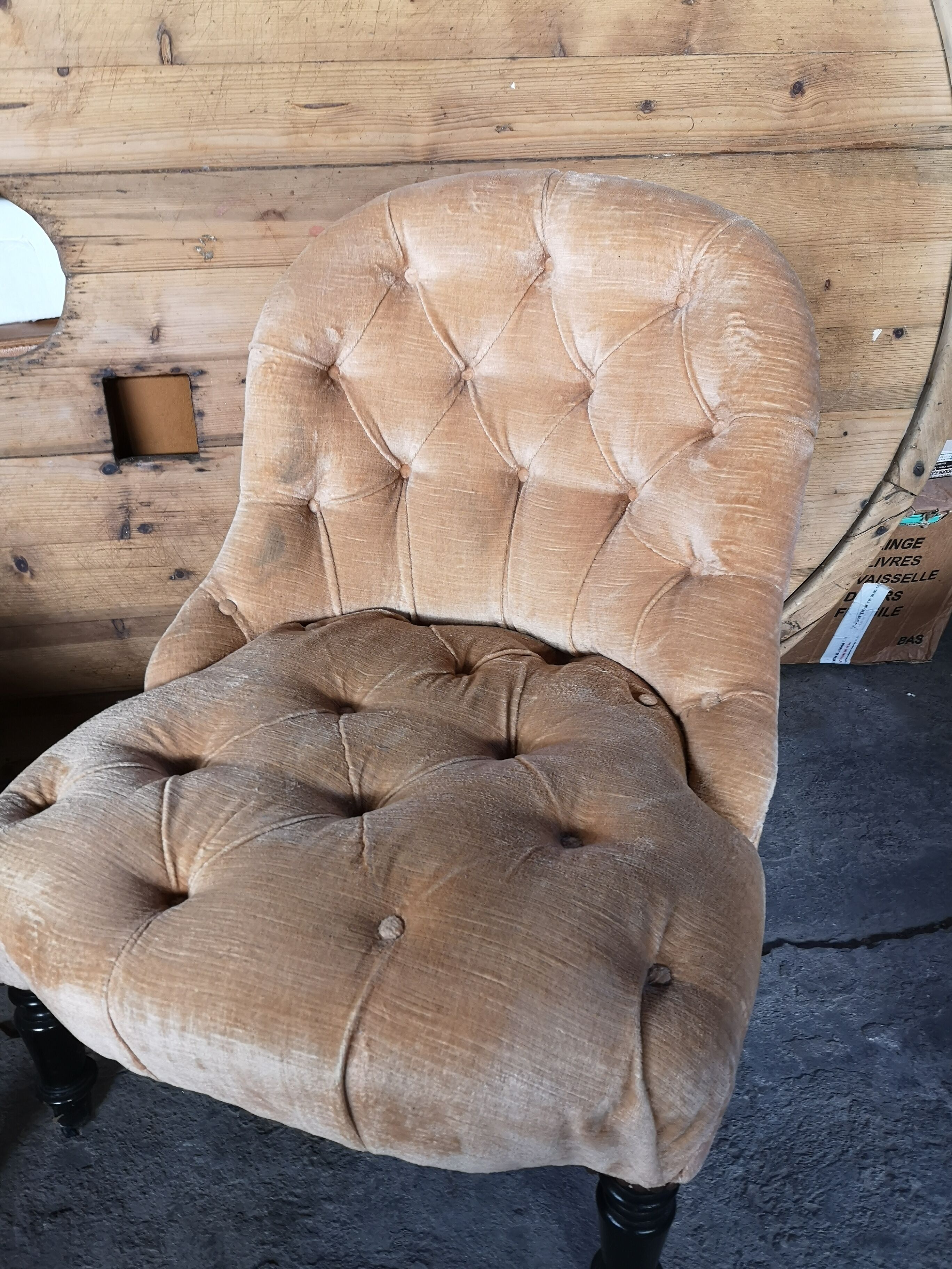 Pair of velvet toad armchairs
