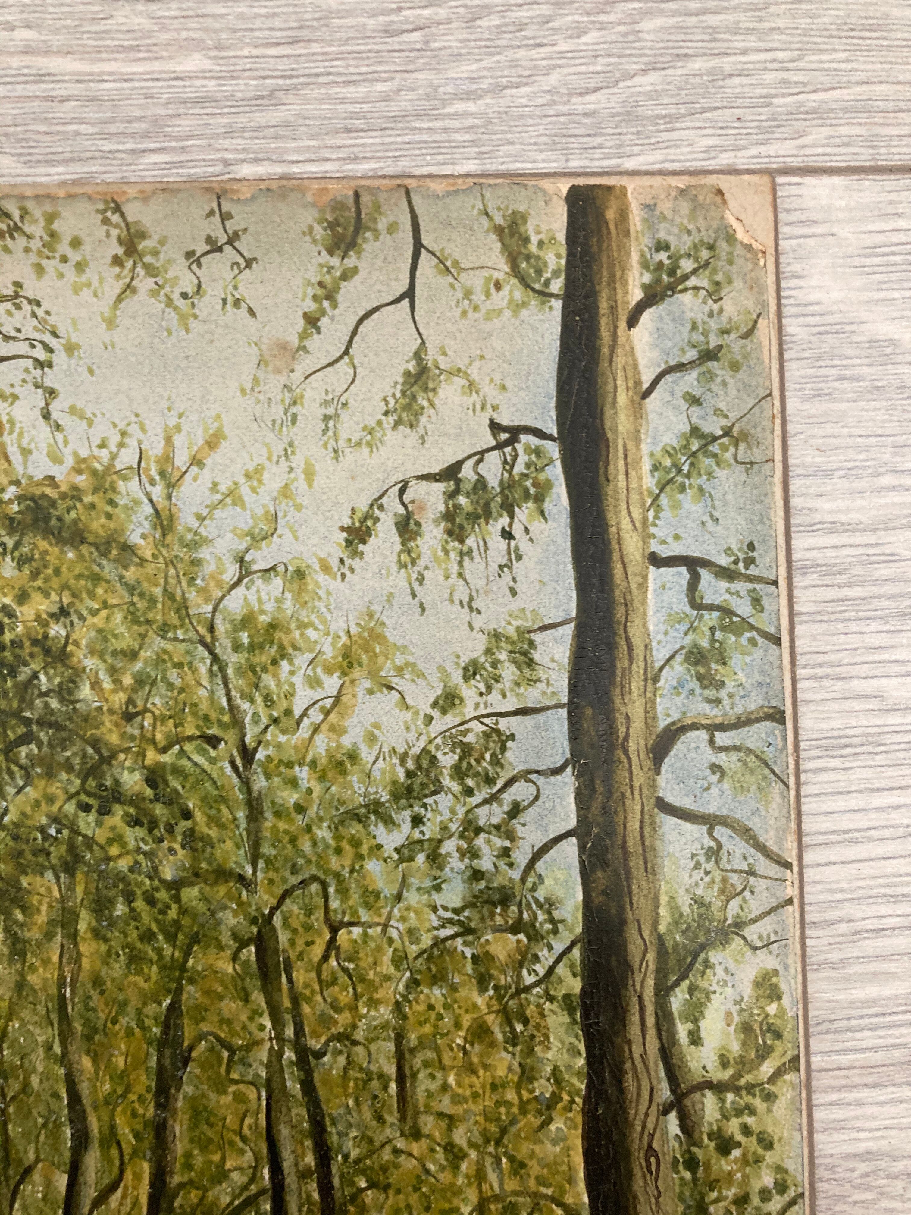 Aquarelle vintage