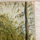 Aquarelle vintage