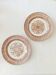 Set of 2 flat plates Petrus Regout, Tancrède