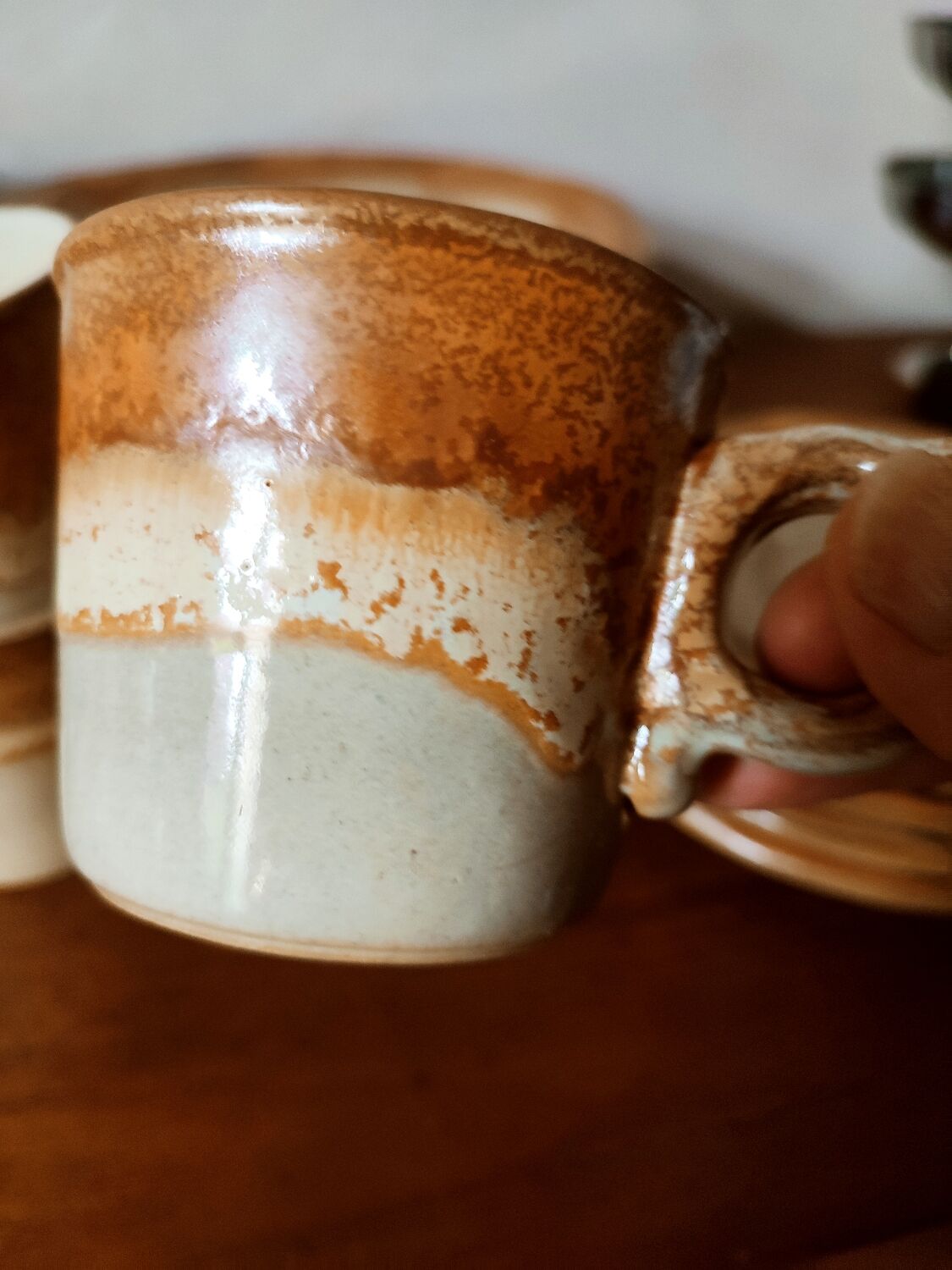 Coffee service and dessert in stoneware west Germany