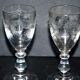Set of 2 crystal liquor glasses engraved with acid floral decoration "rock crystal"