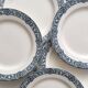 8 flat ironstone plates “Bristol” Salins