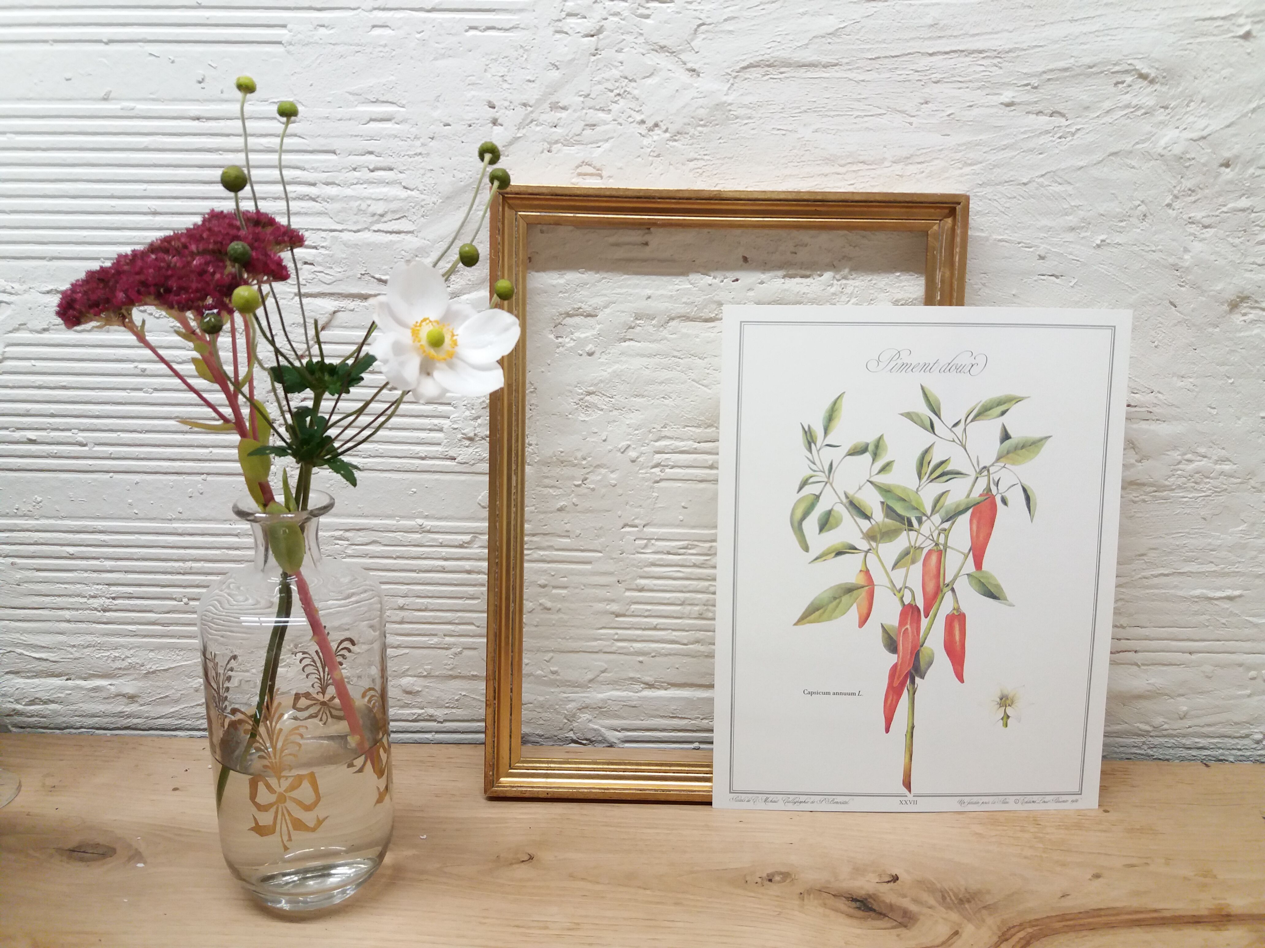 Sweet Pepper Botanical Plank