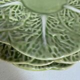 Flat plates in cabbage leaf slurry