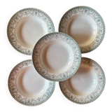 Wilbur Iron Earth Plates