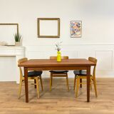 Vintage Danish dining table
