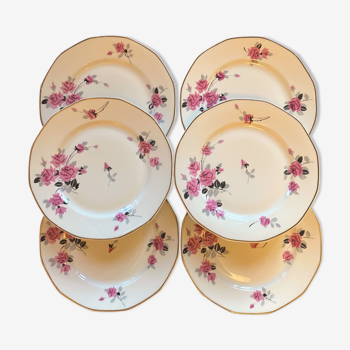 Set de 6 assiettes plates drb limoges