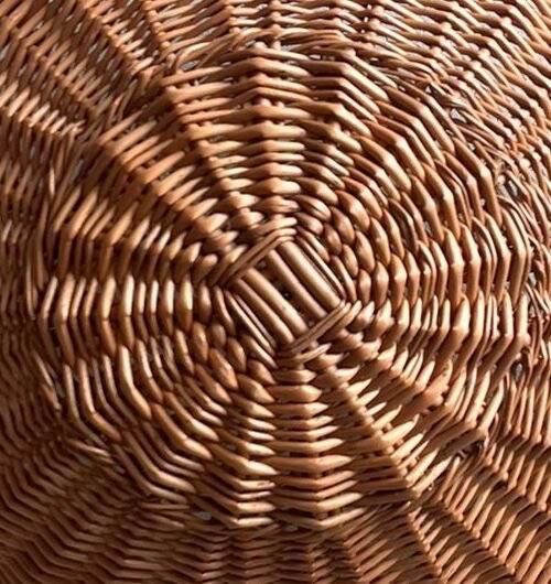 Luminous floral suspension