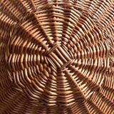 Luminous floral suspension