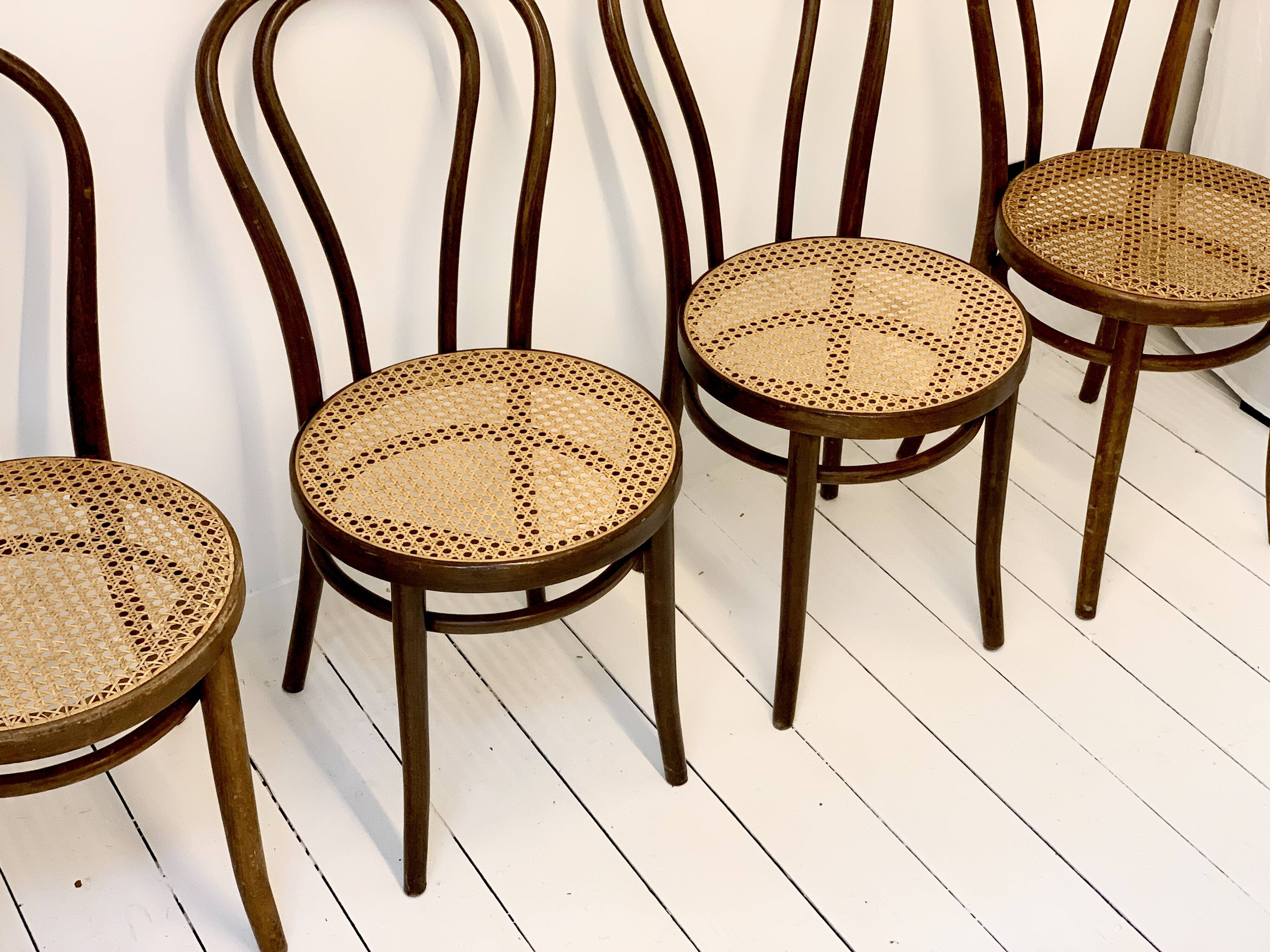 Set of 4 thonet chairs zpm radomsko