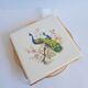 Dish coaster mettlach vintage peacock patterns
