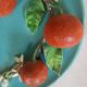 Perret Gentil trompe l'oeil barbotine plate