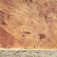 Walnut farm table - 6 feet - 10 places