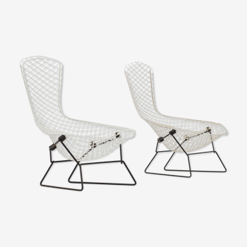 Set of chairs Bird by Harry Bertoia for Knoll International, 1960 s