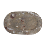Fossil natural stone top