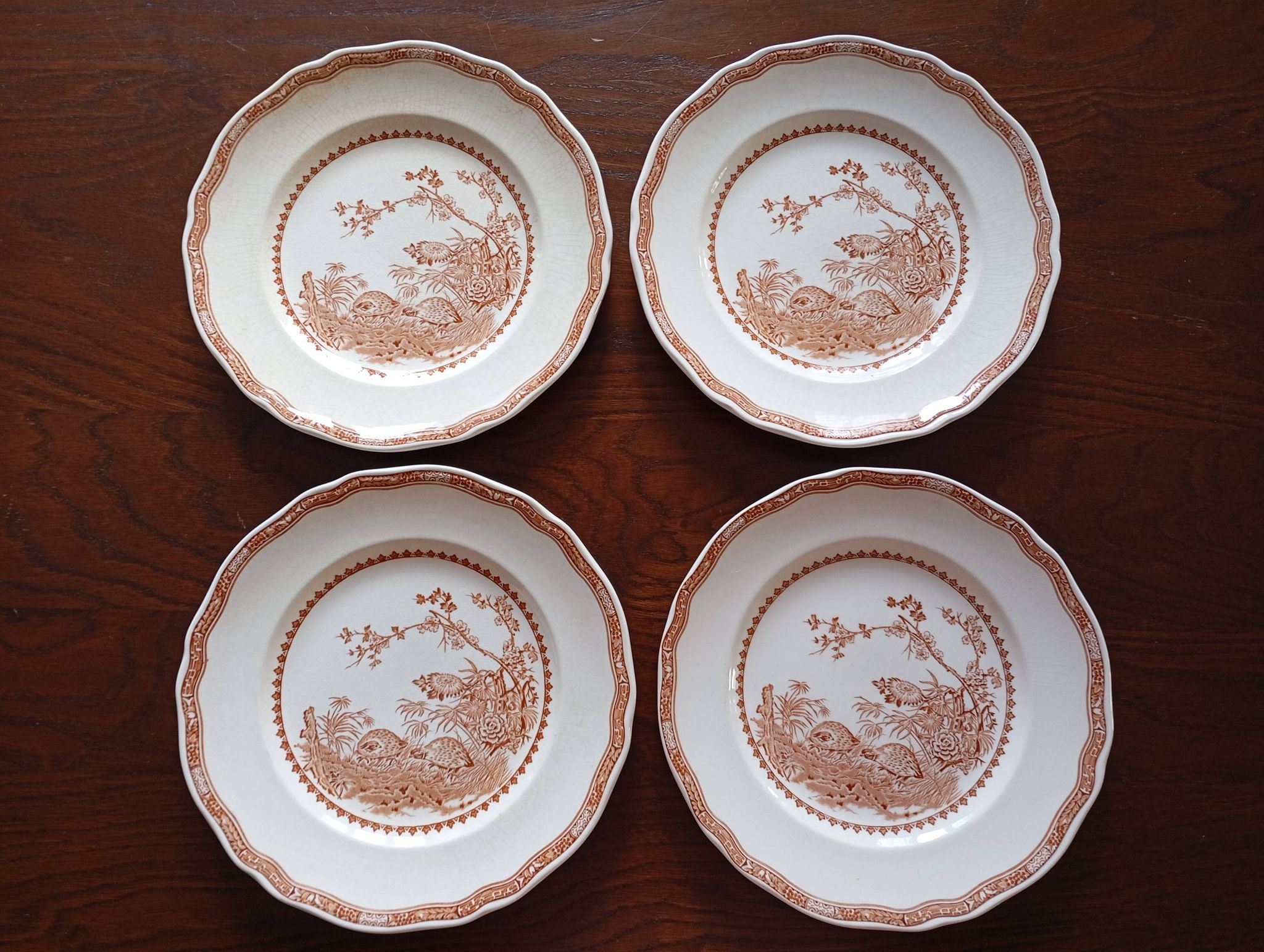 English flat plates Furnivals "Quail"