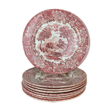 8 ironstone red ironstone iron earth plates