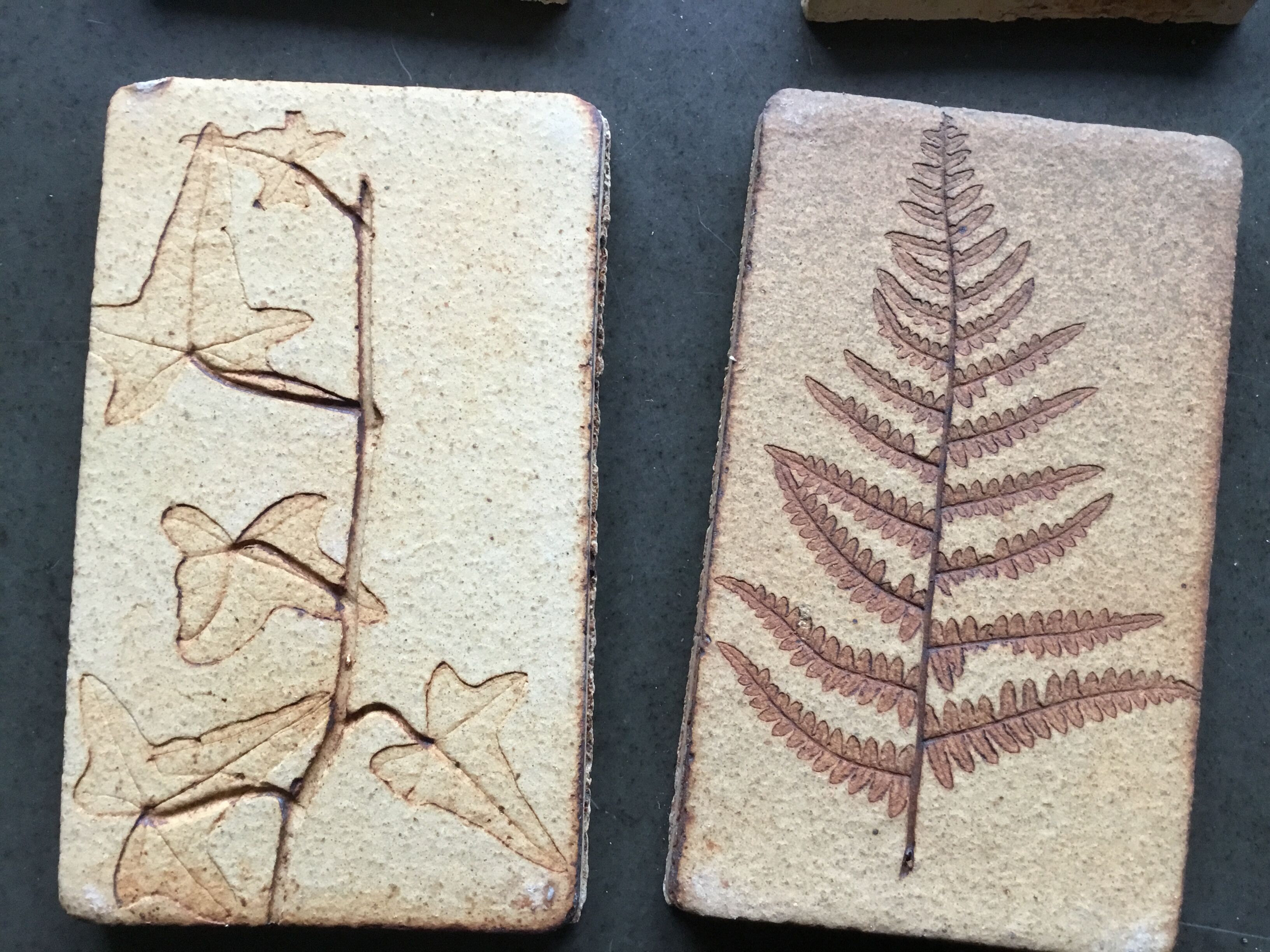 Roger ceramic tiles herbarium model
