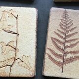 Roger ceramic tiles herbarium model