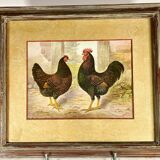 Tableau " Poules "