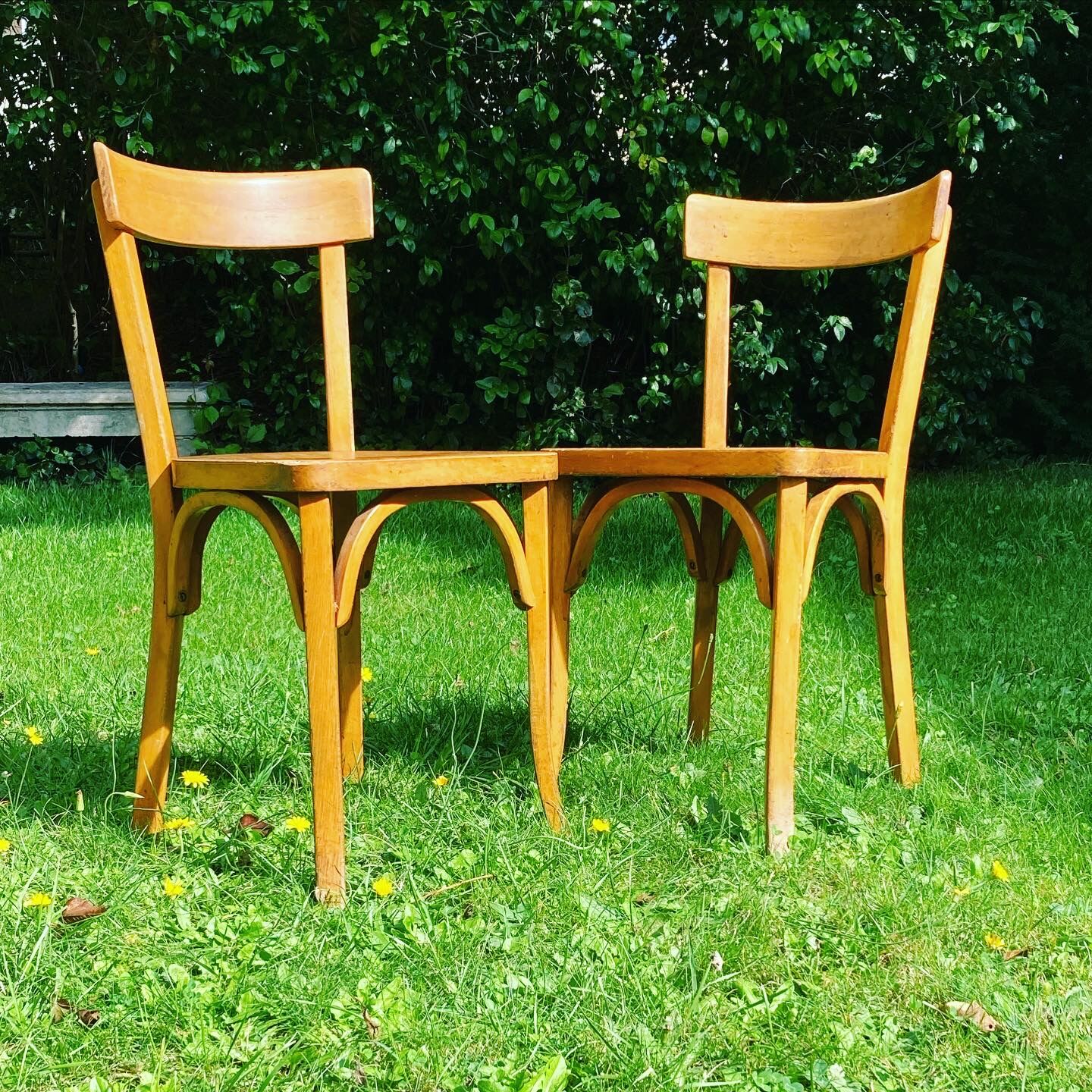 Baumann chairs