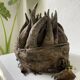 Bété Nyabwa mask Ivory Coast