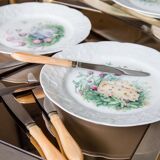 Cheese plates and knives