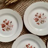 Set of 4 plates faience of Salins, Malmaison model