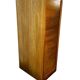 Vintage curtain wardrobe / archive cabinet with file supports