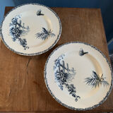 Assiettes terre de fer