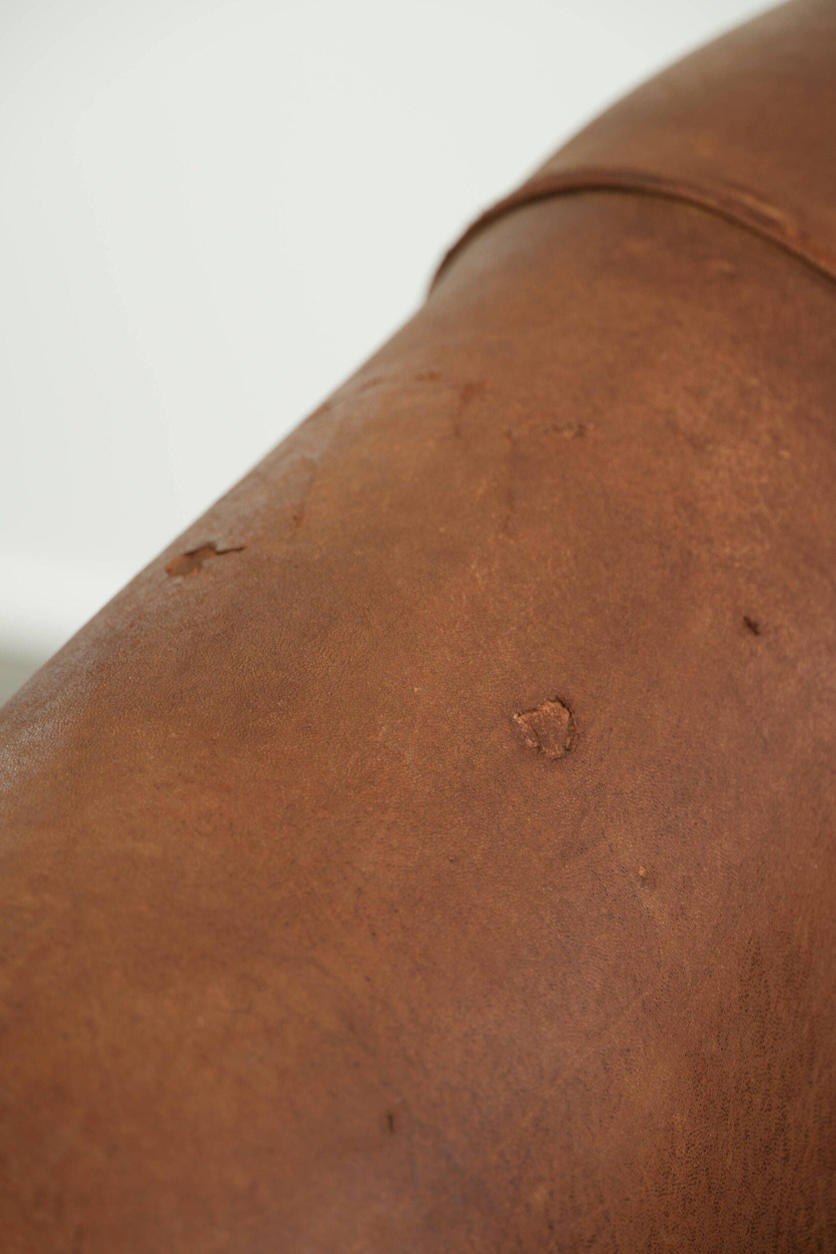 Vintage sheepskin clubchair in a beautiful cognac colour with a sturdy look