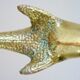 Door knocker with stopper and Maltese cross, solid brass dolphin