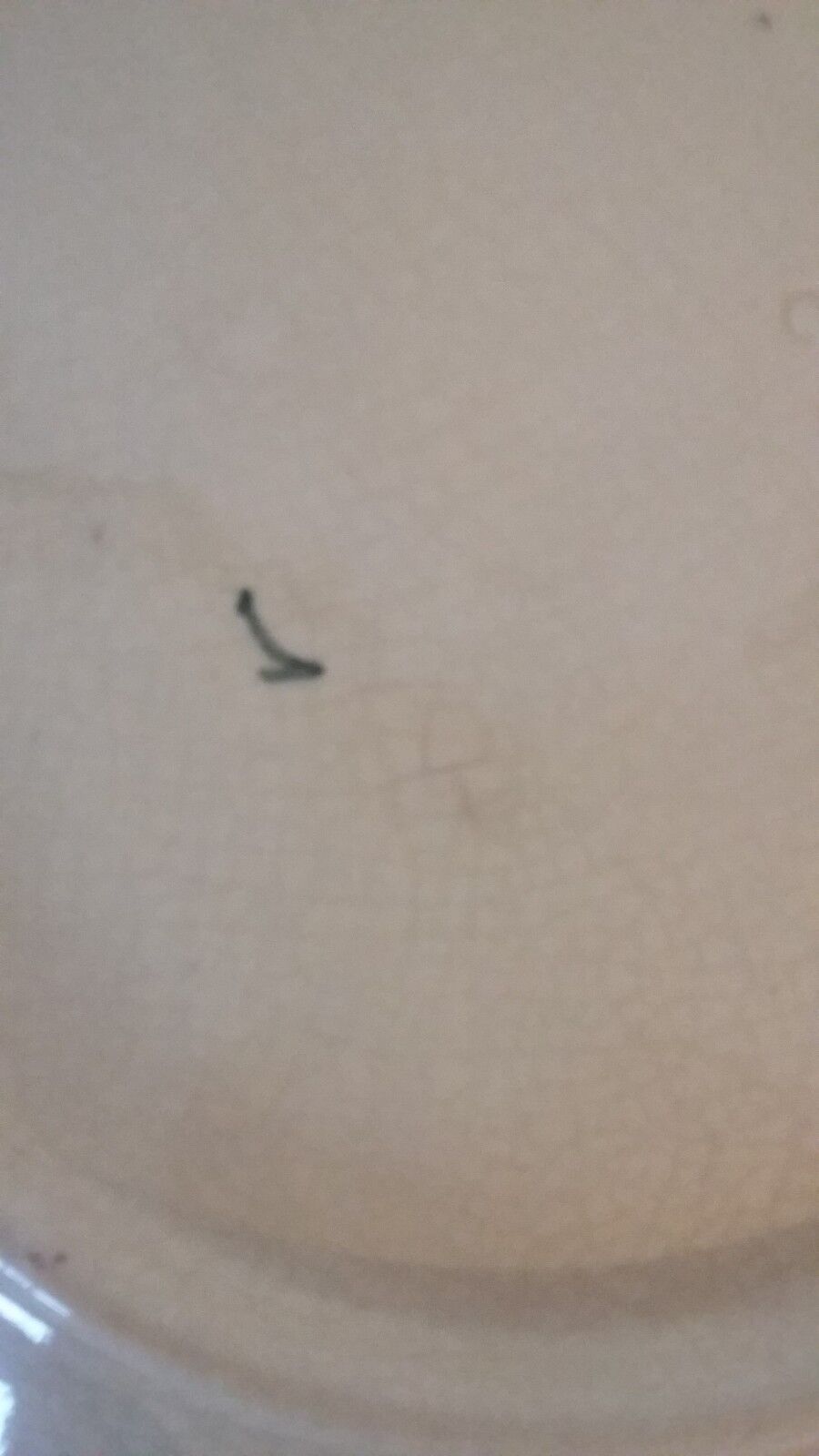 Plate slip thoughts late nineteenth Choisy le Roi